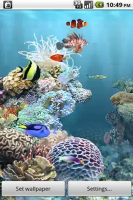 aniPet Aquarium LiveWallpaper android App screenshot 4